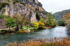 IMG_1284