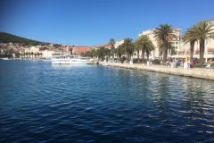 IMG_1361