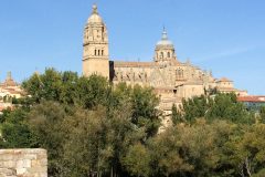 IMG_2047-scaled