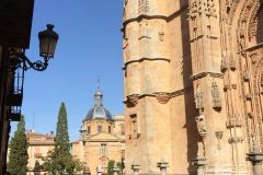 IMG_2052-scaled