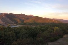 IMG_2355