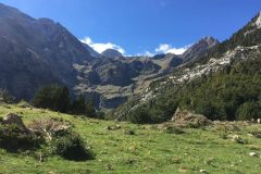 6931c99d-b120-4ba3-9b07-a204b7f4f461