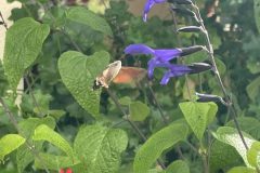 WhatsApp-Image-2022-09-11-at-2.34.03-PM