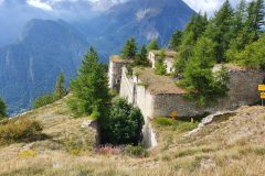 WhatsApp-Image-2022-09-11-at-4.35.10-PM-1